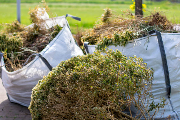Best Local Junk Hauling  in Cairo, NE